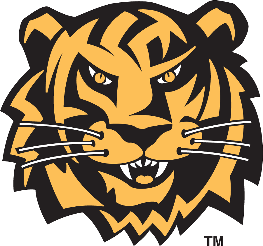 Towson Tigers 1995-2002 Secondary Logo DIY iron on transfer (heat transfer)